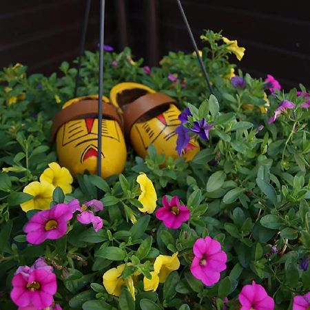 B&B Hulleste Westerland Dış mekan fotoğraf