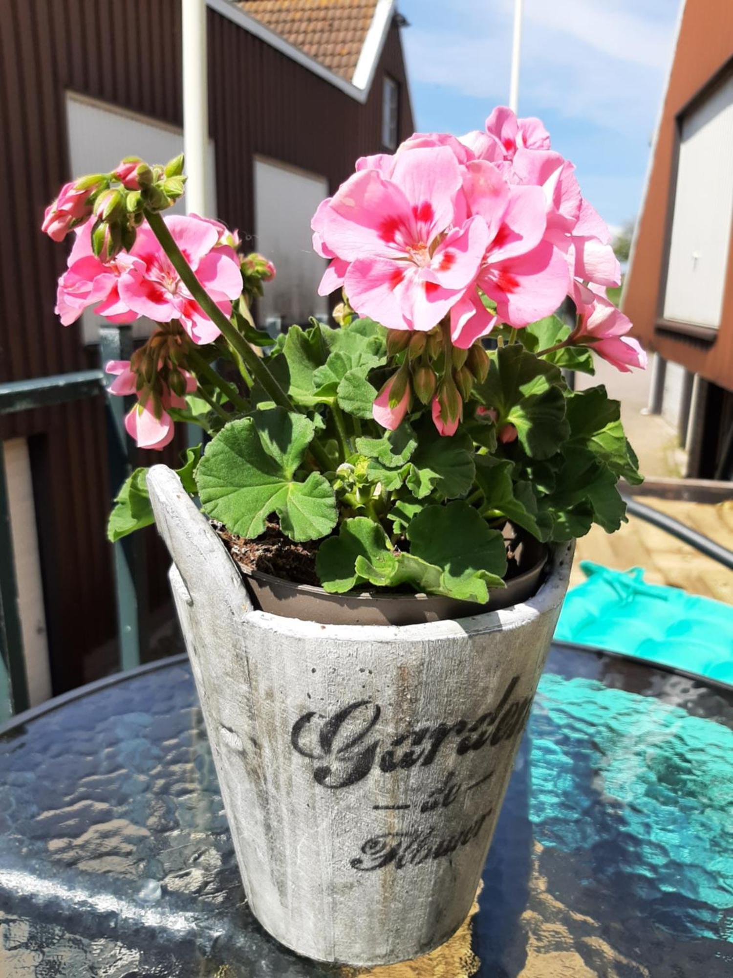 B&B Hulleste Westerland Dış mekan fotoğraf